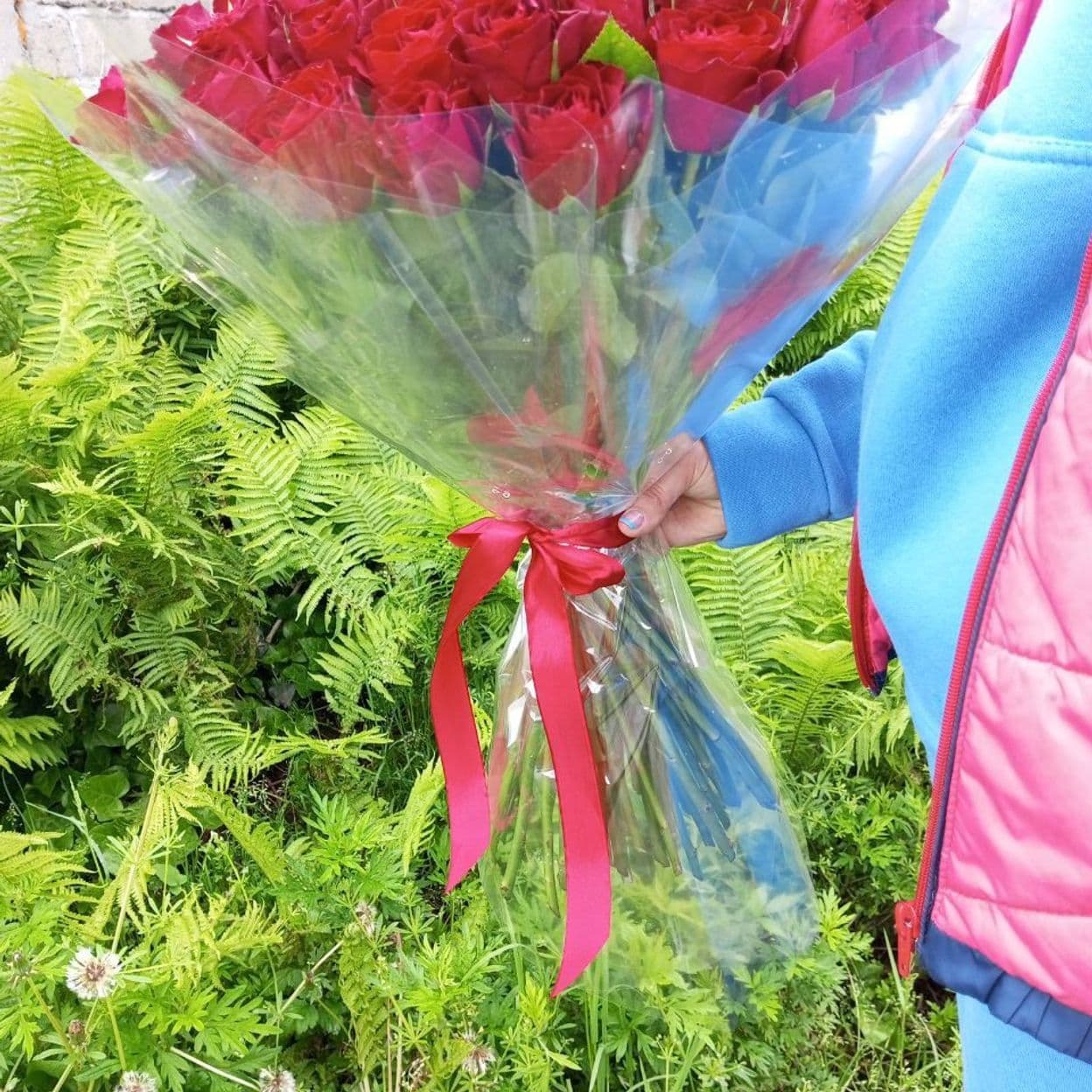 Купить Мадам рэд (кения) роза 40 см. - 31 шт.