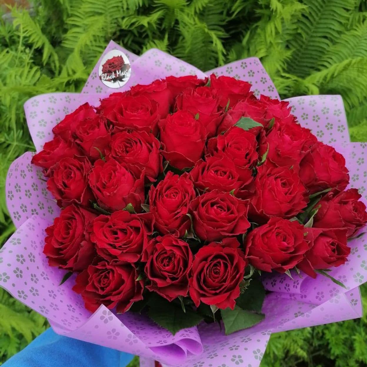 Купить Мадам рэд (кения) роза 40 см. - 31 шт.