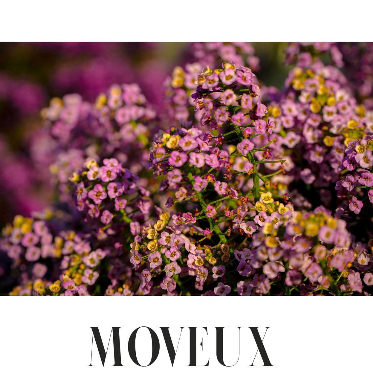 Купить Электронный журнал MOVEUX Magazine SPRING 2025 Digital Issue 2