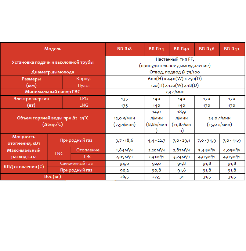 Купить Газовый котёл Rinnai BR-RE24