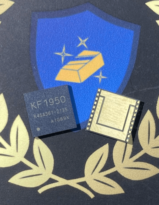 Купить Чип KF1950 (03С, 03G, 10C, 10G, 15C) WM