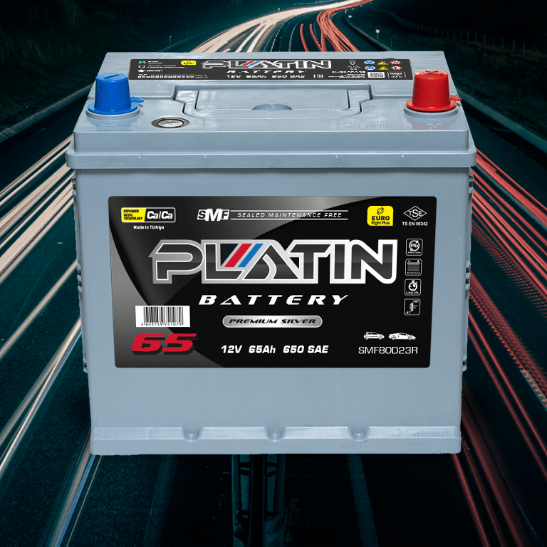 Купить АККУМУЛЯТОР PLATIN ASIASILVER 6CT-65