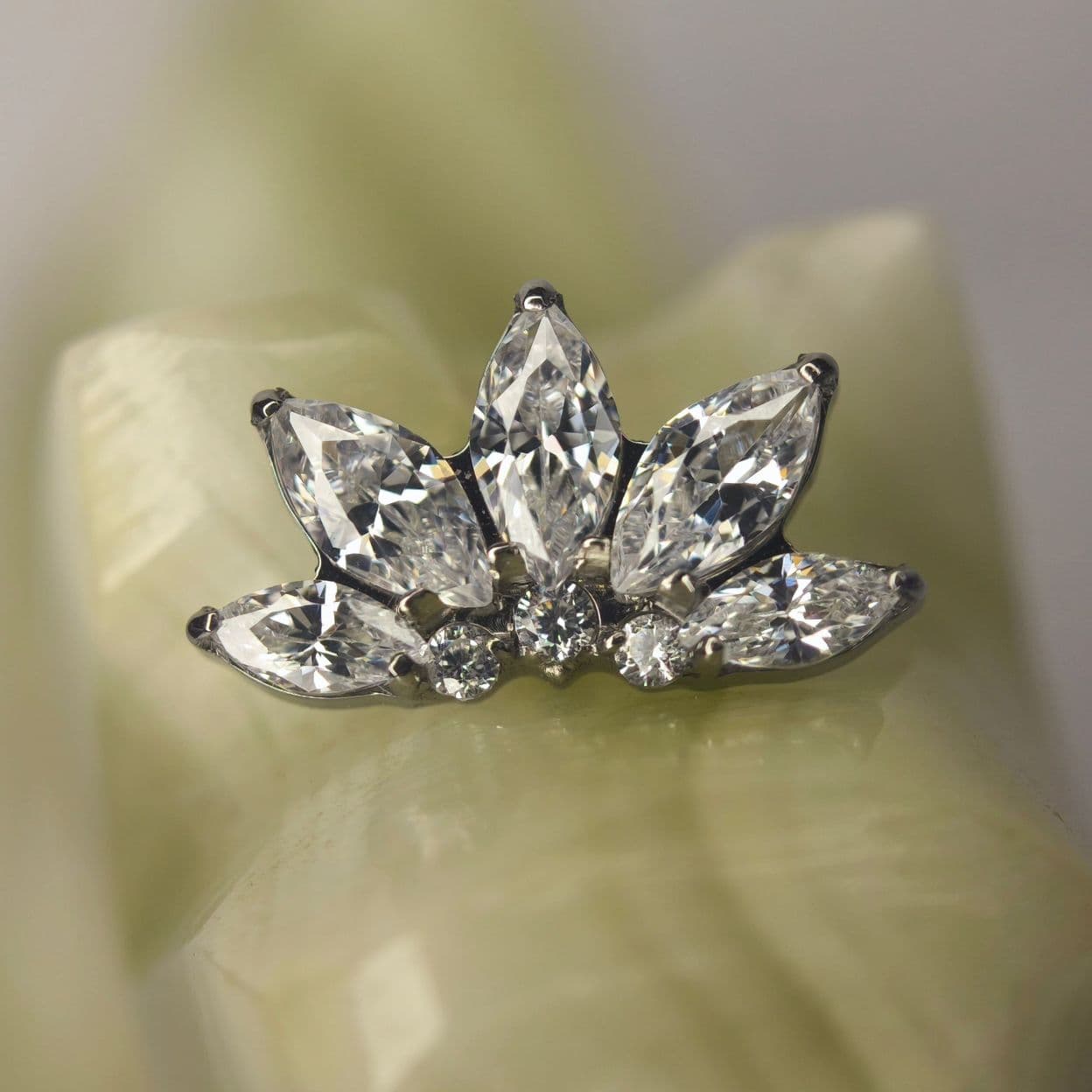 Купить Лотос