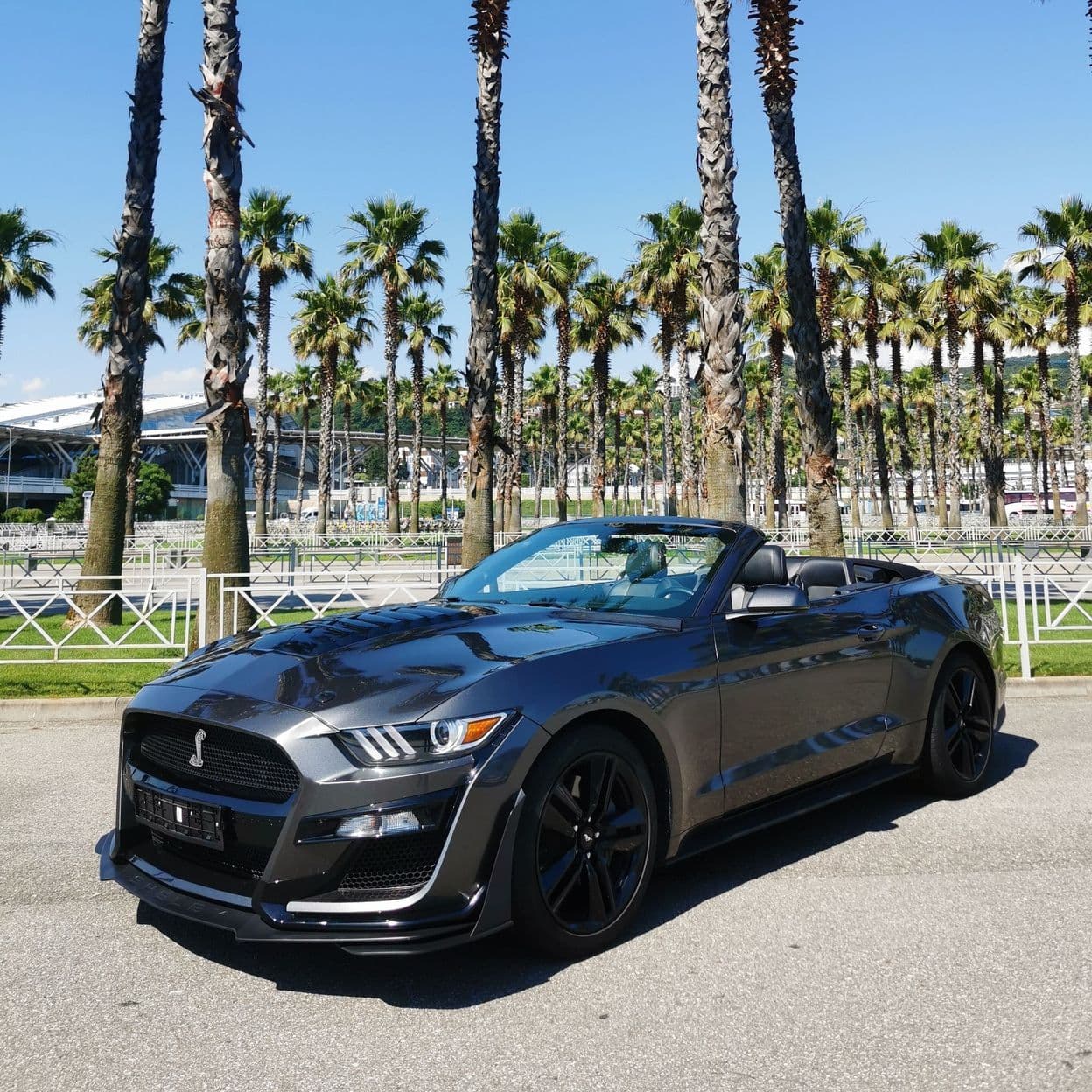 Купить Ford Mustang