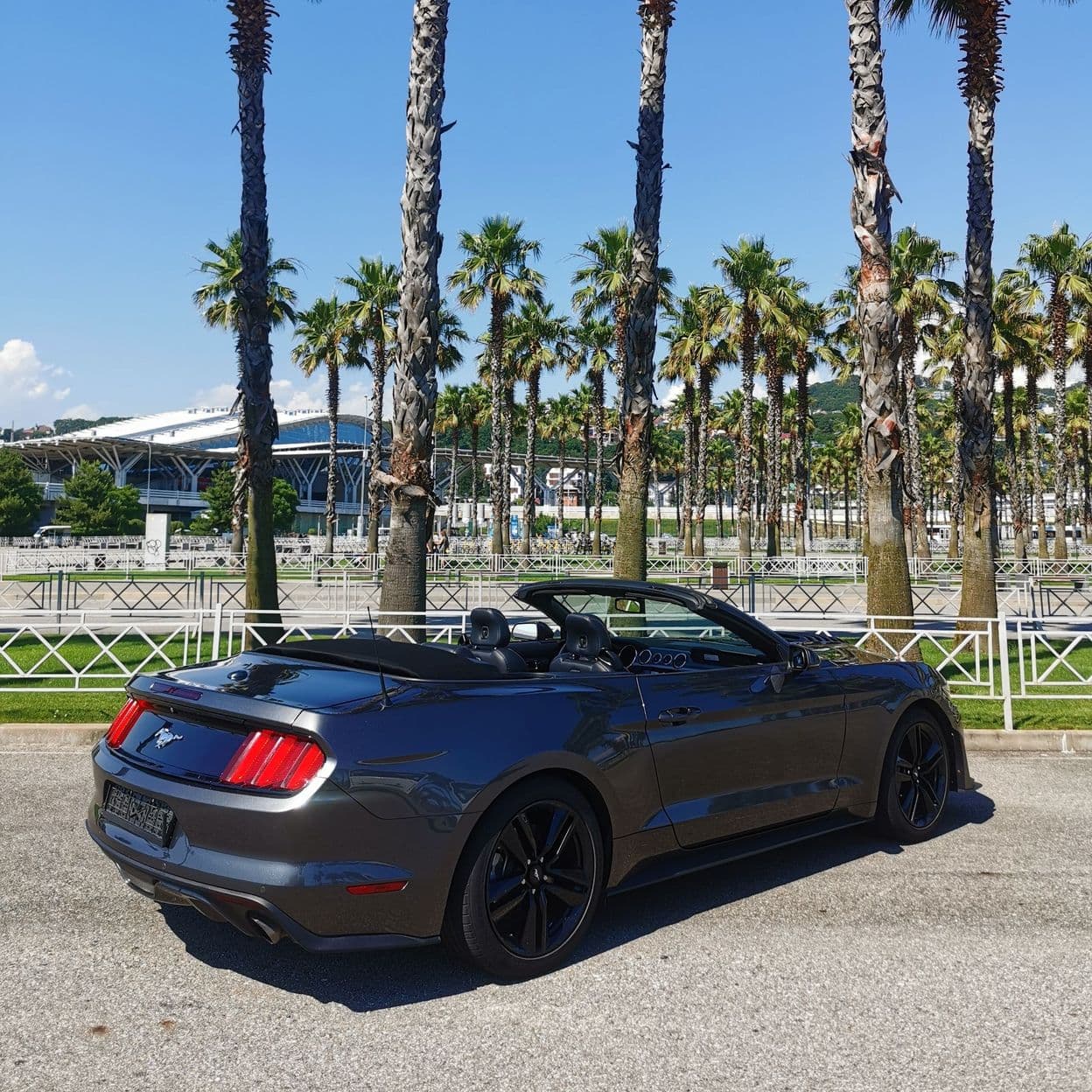 Купить Ford Mustang