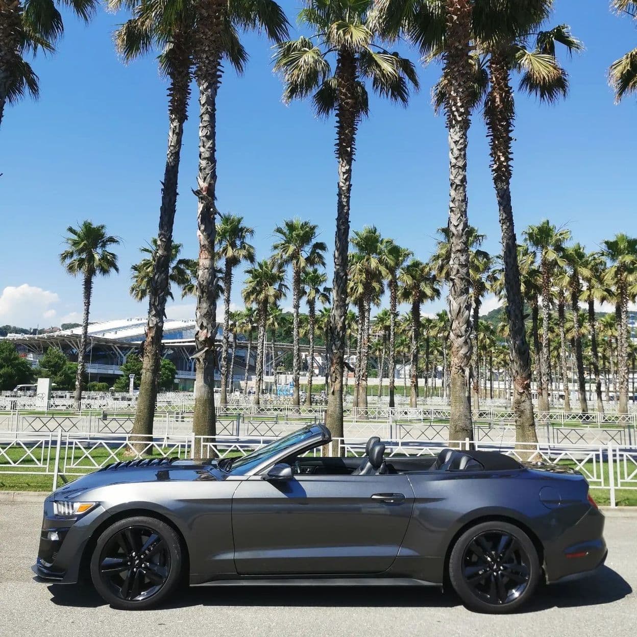 Купить Ford Mustang