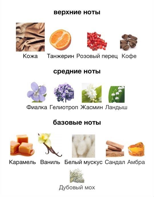 Купить MANCERA FEMINITY