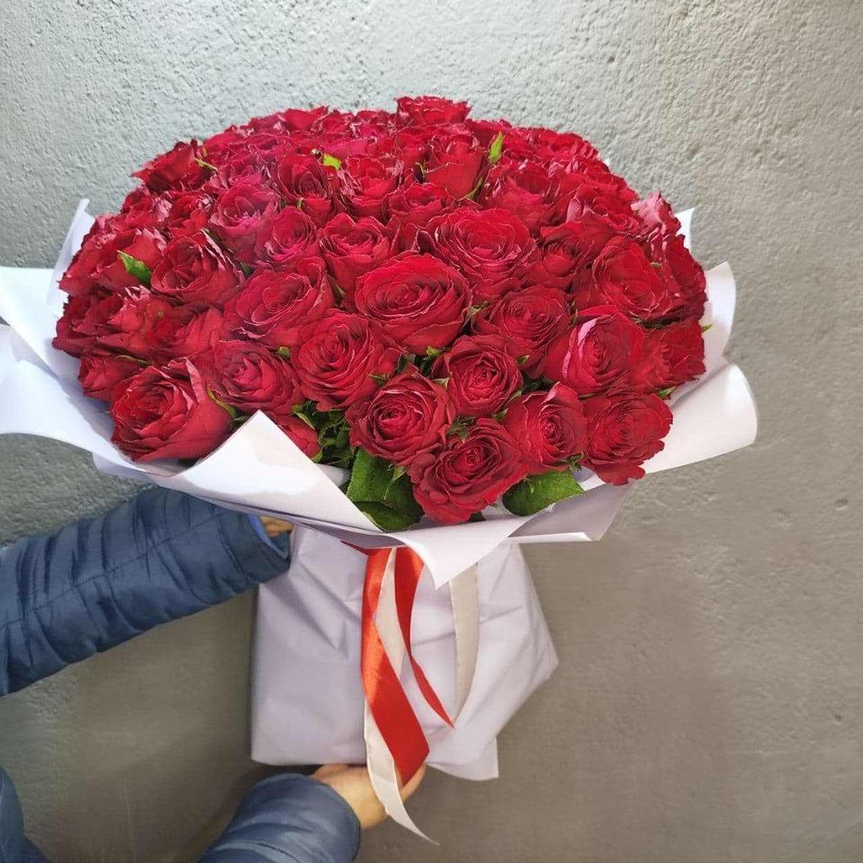 Купить Мадам рэд (кения) роза 40 см. - 101 шт.