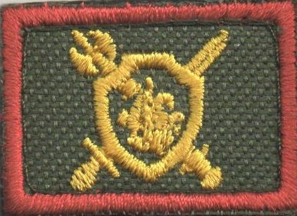 Купить Эмблема "Военная полиция" офис